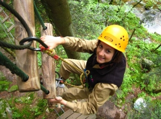  Venga y descubre el mundo de los árboles 